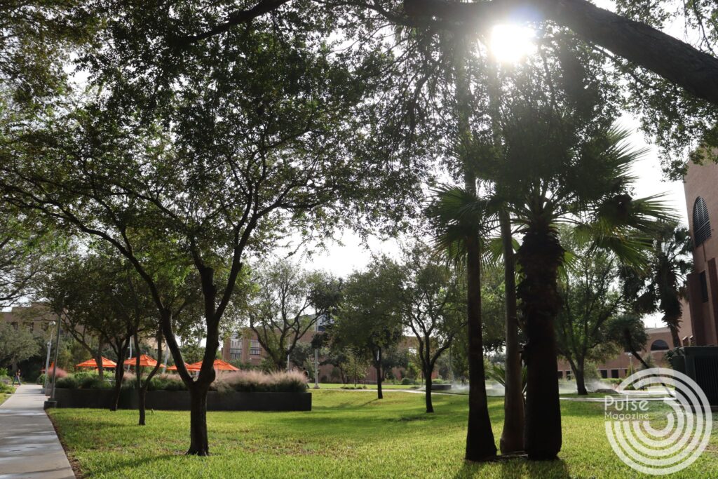 The nature outside the Liberal Arts Building South on UTRGV’s Edinburg campus. Mikaela Lagunes/ Pulse. 
