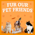 Fur our pet friends